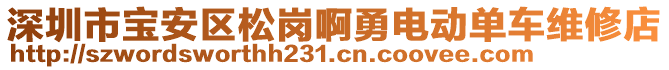 深圳市寶安區(qū)松崗啊勇電動單車維修店