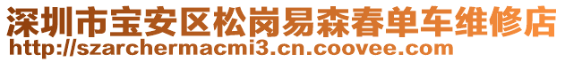 深圳市寶安區松崗易森春單車維修店