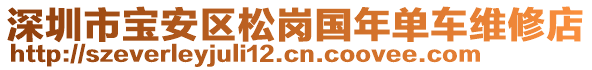 深圳市寶安區(qū)松崗國(guó)年單車維修店