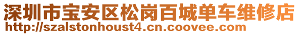 深圳市寶安區松崗百城單車維修店