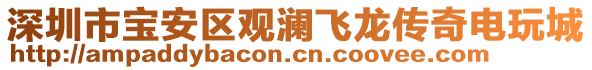 深圳市寶安區(qū)觀瀾飛龍傳奇電玩城