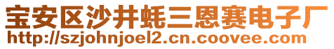 寶安區(qū)沙井蠔三恩賽電子廠