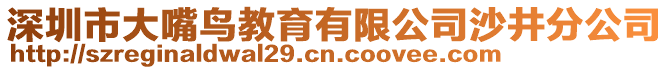 深圳市大嘴鳥教育有限公司沙井分公司