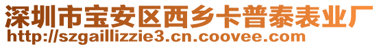 深圳市寶安區(qū)西鄉(xiāng)卡普泰表業(yè)廠