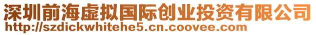 深圳前海虛擬國際創(chuàng)業(yè)投資有限公司