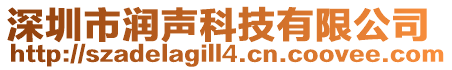 深圳市润声科技有限公司