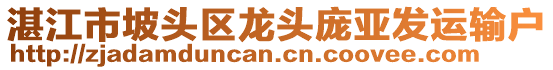 湛江市坡頭區(qū)龍頭龐亞發(fā)運(yùn)輸戶