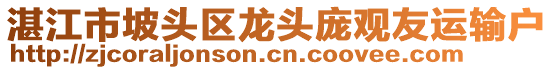 湛江市坡頭區(qū)龍頭龐觀友運輸戶