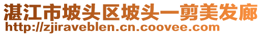 湛江市坡頭區(qū)坡頭一剪美發(fā)廊