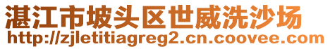 湛江市坡頭區(qū)世威洗沙場