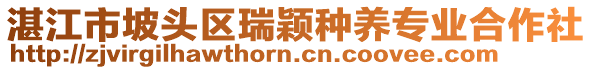 湛江市坡头区瑞颖种养专业合作社