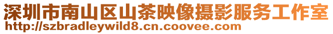 深圳市南山區(qū)山茶映像攝影服務(wù)工作室