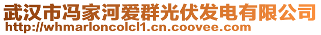 武漢市馮家河愛群光伏發(fā)電有限公司