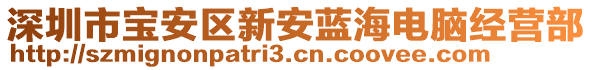 深圳市寶安區(qū)新安藍(lán)海電腦經(jīng)營(yíng)部