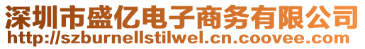 深圳市盛億電子商務(wù)有限公司