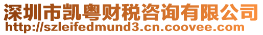 深圳市凱粵財稅咨詢有限公司