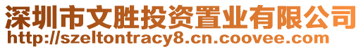 深圳市文勝投資置業(yè)有限公司