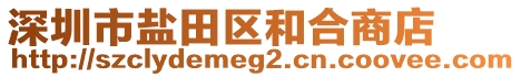 深圳市鹽田區(qū)和合商店