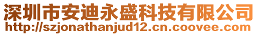 深圳市安迪永盛科技有限公司