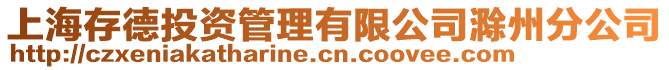 上海存德投资管理有限公司滁州分公司