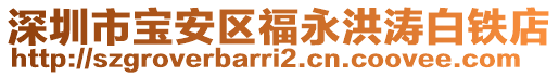 深圳市寶安區(qū)福永洪濤白鐵店