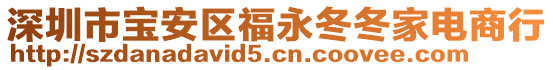 深圳市寶安區(qū)福永冬冬家電商行