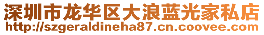 深圳市龍華區(qū)大浪藍(lán)光家私店