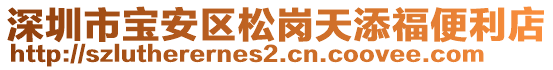 深圳市寶安區(qū)松崗天添福便利店