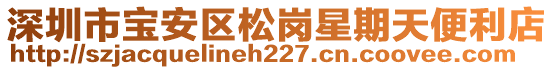 深圳市寶安區(qū)松崗星期天便利店