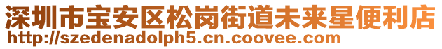 深圳市寶安區(qū)松崗街道未來(lái)星便利店