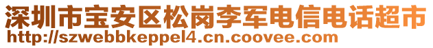 深圳市寶安區(qū)松崗李軍電信電話超市