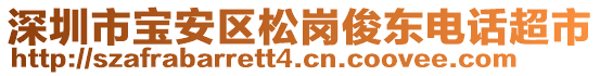 深圳市寶安區(qū)松崗俊東電話超市