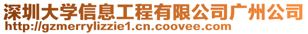 深圳大學(xué)信息工程有限公司廣州公司