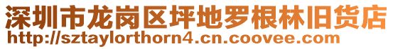 深圳市龍崗區(qū)坪地羅根林舊貨店