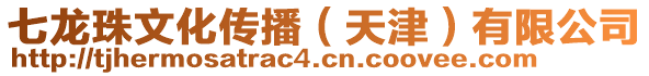 七龍珠文化傳播（天津）有限公司