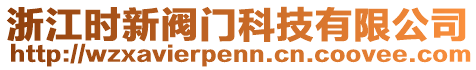 浙江時(shí)新閥門(mén)科技有限公司