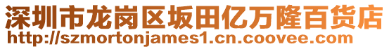 深圳市龍崗區(qū)坂田億萬隆百貨店