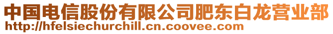 中國電信股份有限公司肥東白龍營業(yè)部