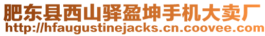 肥東縣西山驛盈坤手機(jī)大賣廠