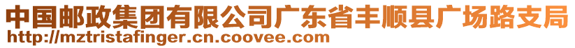 中國(guó)郵政集團(tuán)有限公司廣東省豐順縣廣場(chǎng)路支局