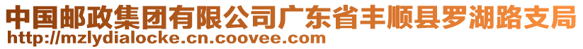 中國(guó)郵政集團(tuán)有限公司廣東省豐順縣羅湖路支局