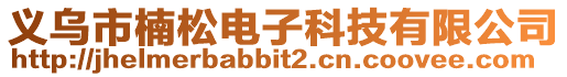 義烏市楠松電子科技有限公司