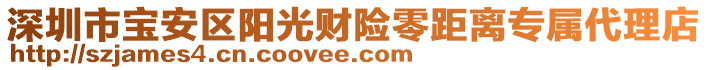 深圳市寶安區(qū)陽光財險零距離專屬代理店