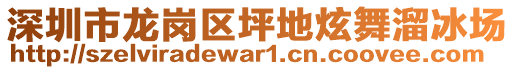 深圳市龍崗區(qū)坪地炫舞溜冰場(chǎng)
