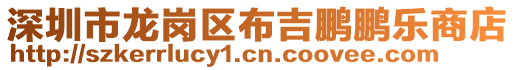 深圳市龍崗區(qū)布吉鵬鵬樂商店