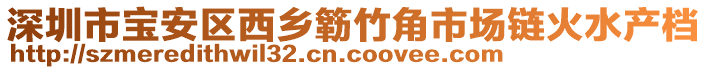 深圳市寶安區(qū)西鄉(xiāng)簕竹角市場(chǎng)鏈火水產(chǎn)檔