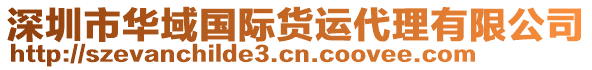 深圳市華域國際貨運代理有限公司