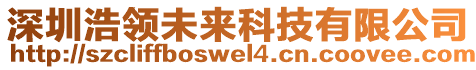 深圳浩領(lǐng)未來科技有限公司