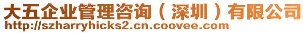 大五企業(yè)管理咨詢（深圳）有限公司