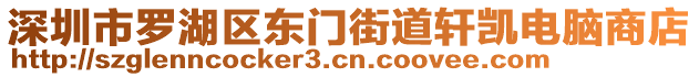 深圳市羅湖區(qū)東門街道軒凱電腦商店